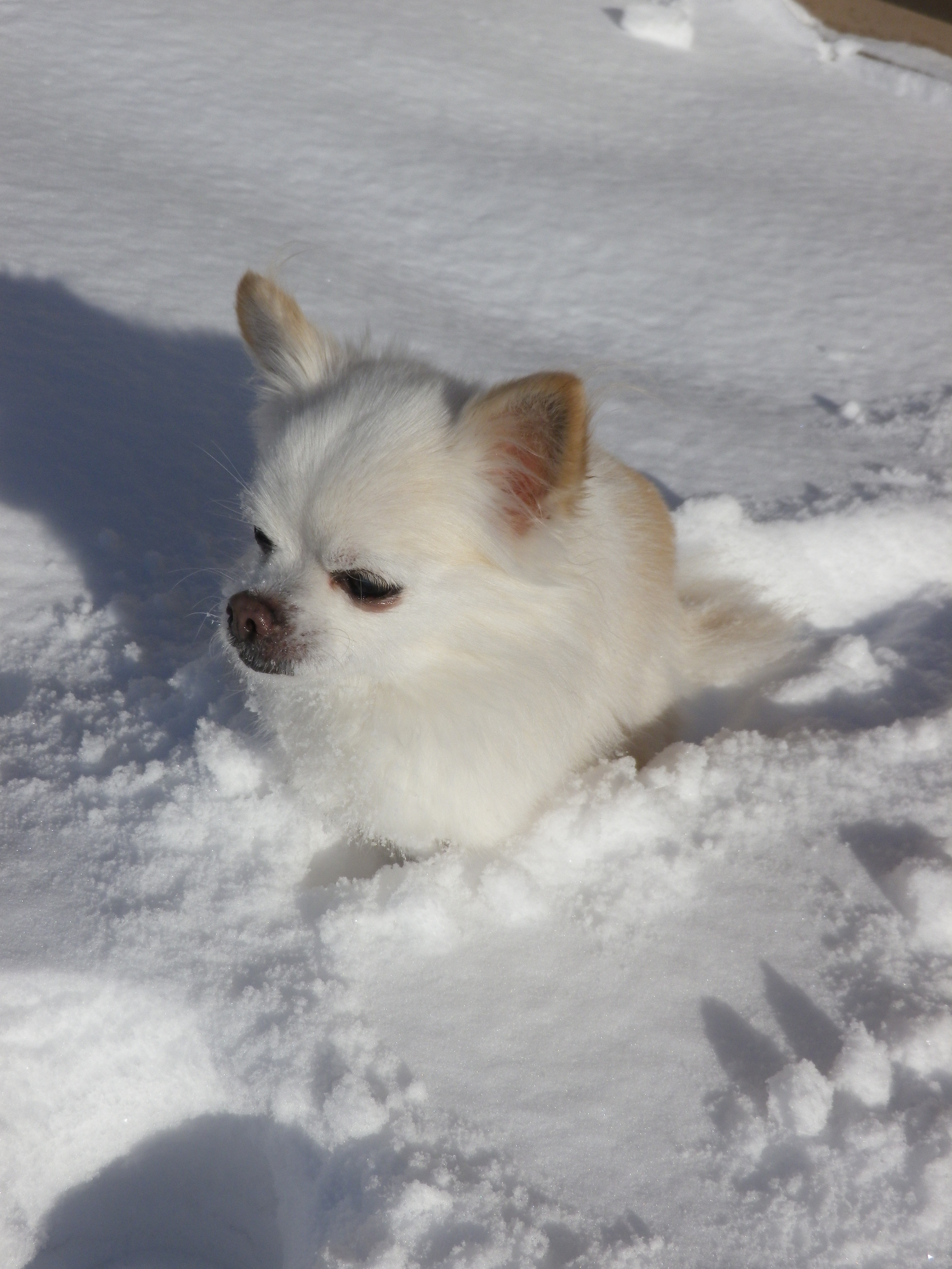 もく雪