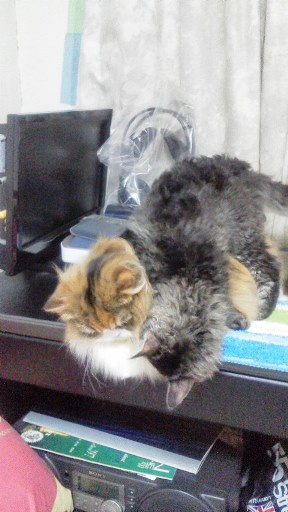 20140519150445.jpg