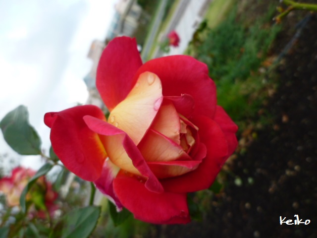 P1100493.JPG