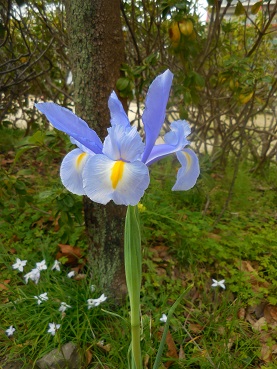 DSCN0051.JPG
