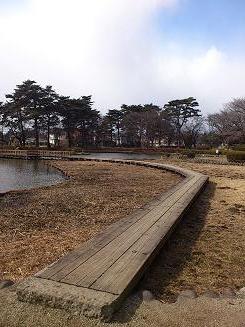 DSC 0444.JPG