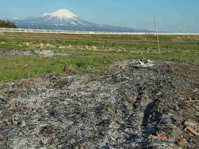 済んだとダイセン