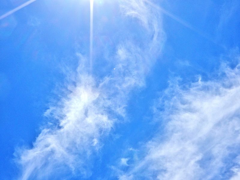 空4