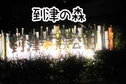 夜２.JPG