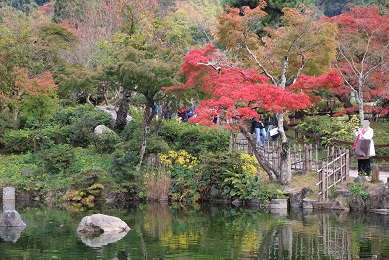 京都　円山公園