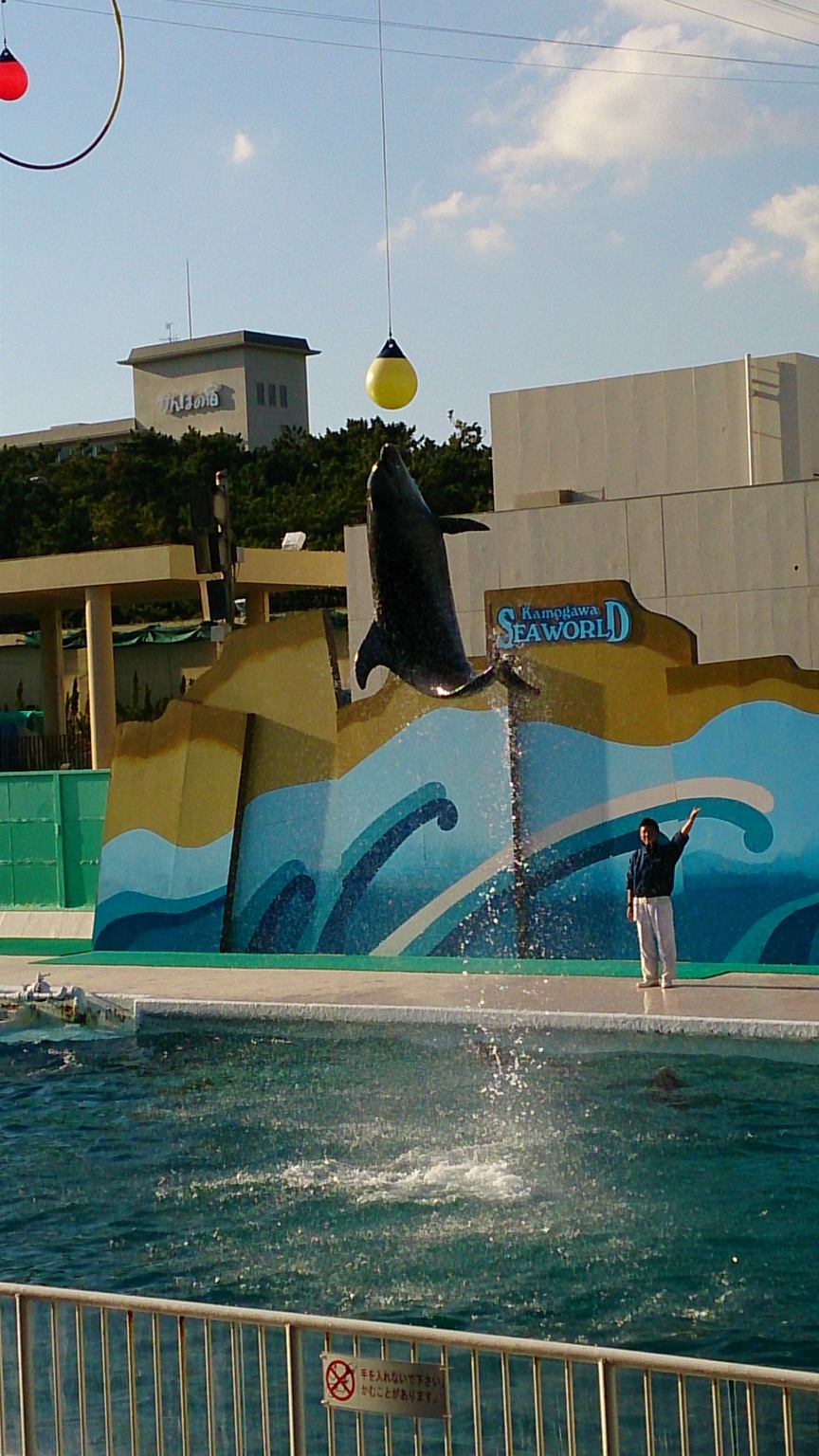 DSC_0723_R.jpg