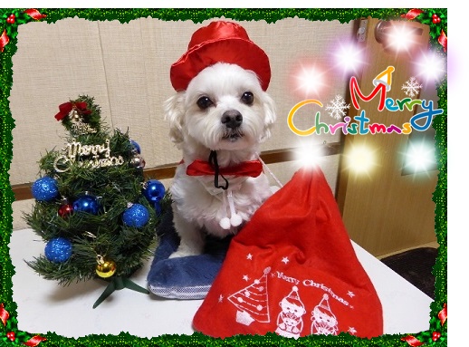 ひっきー０８さん