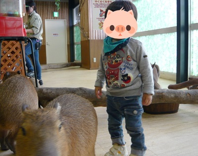 ガチャガチャ１