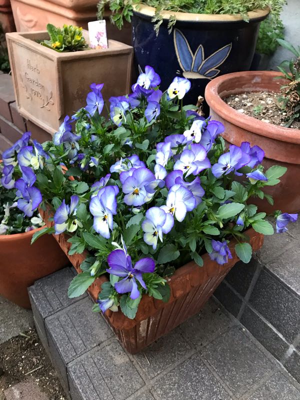rblog-20190324174901-02.jpg