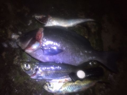 20160124-3.jpg