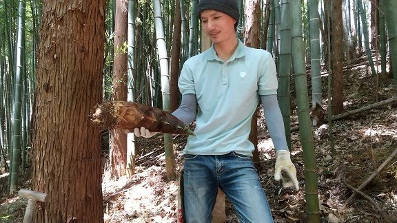 タケノコ掘り With ベトナム2人 加護坊山麓たより 町づくり 楽天ブログ