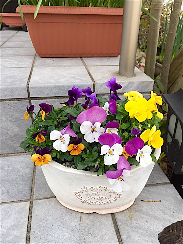 rblog-20150321010649-03.jpg
