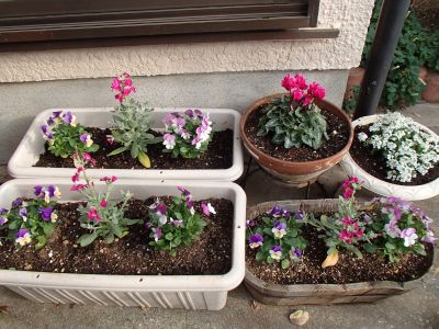 11.22 harukadann.jpg