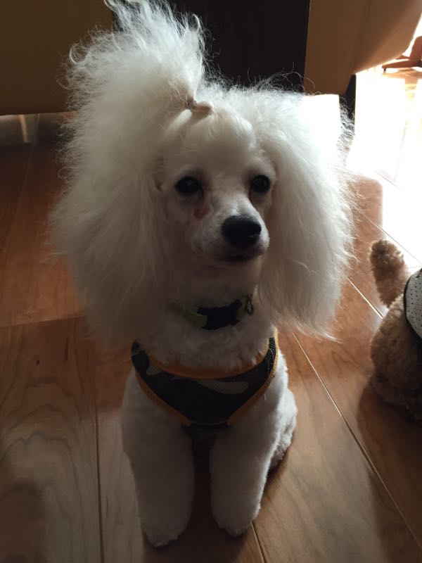 rblog-20150928194500-02.jpg