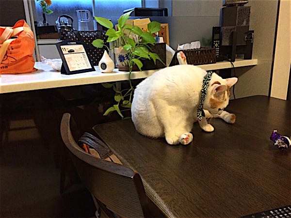 rblog-20141105062802-01.jpg