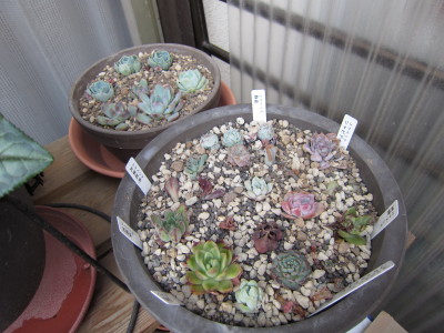 20120406d