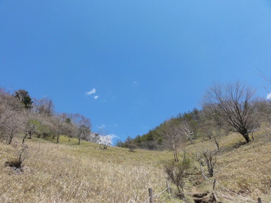 広々とした草原、夏はお花畑に変身します。.jpg