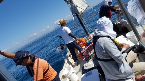 rblog-20180923203152-05.jpg