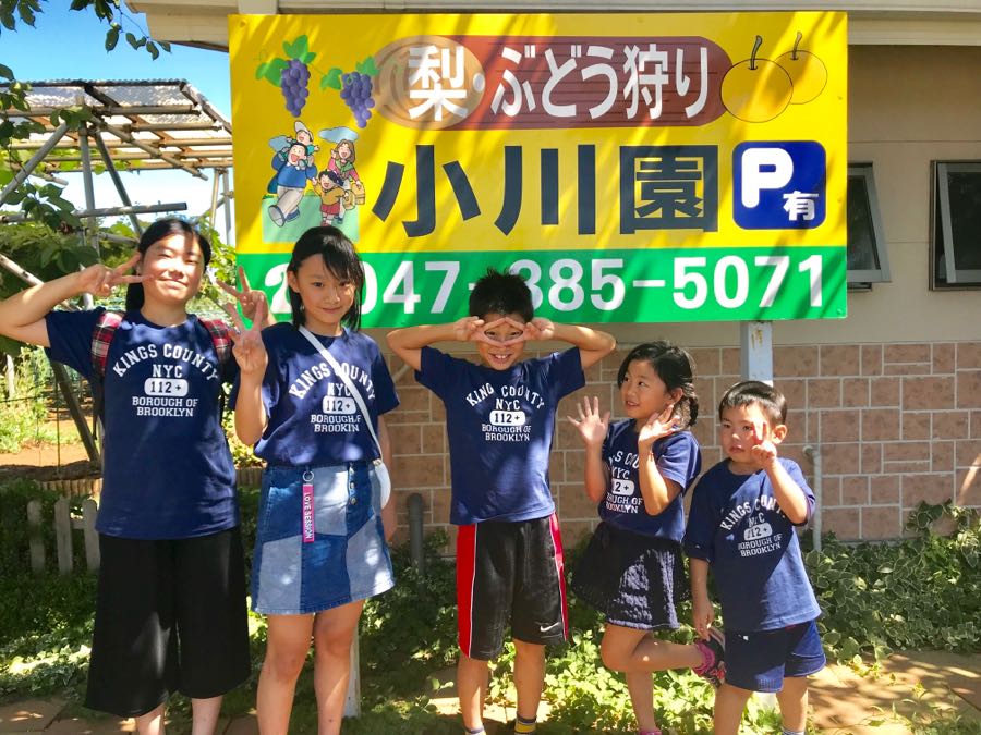rblog-20180821010945-00.jpg