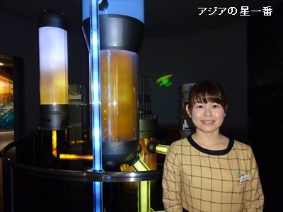 20160513 タオル美術館 佐田岬19