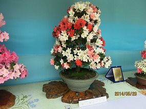 IMG_3127b.jpg