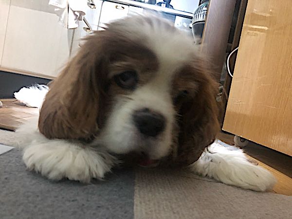 rblog-20180111080408-05.jpg