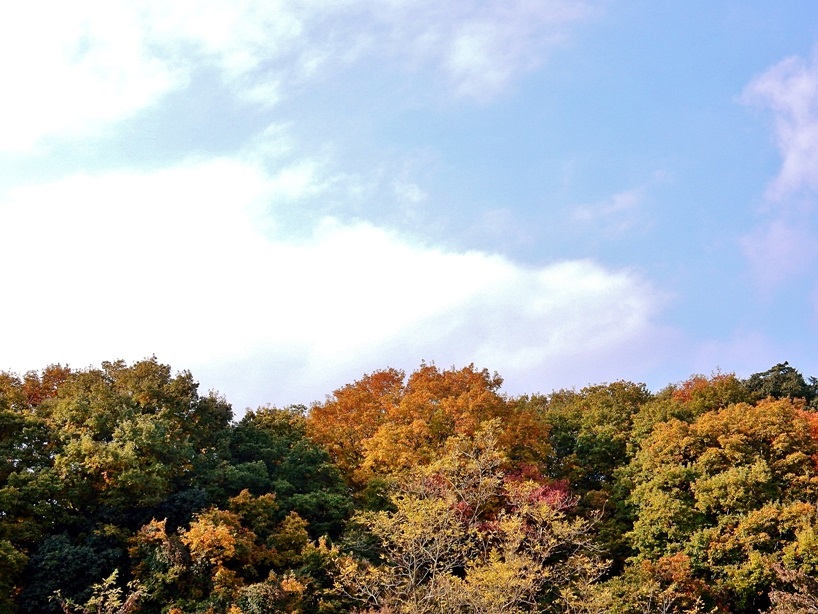 空3.JPG
