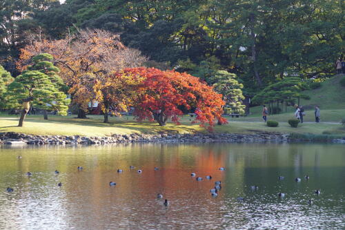 浜離宮恩賜庭園の紅葉