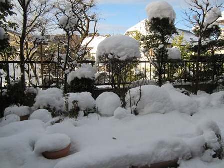 庭の雪.jpg
