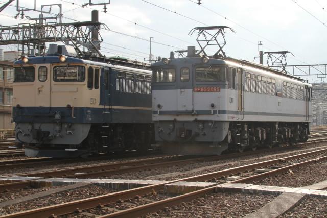 EF65国鉄色 & JRF色 & E231-500番代 奇跡の並び!!2