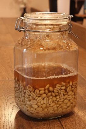 珈琲酵母(タンザニア）2014.JPG