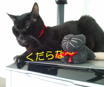 20120904_6.jpg