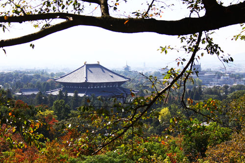 若草山（大仏殿）　27.10.19-5_edited-1.jpg