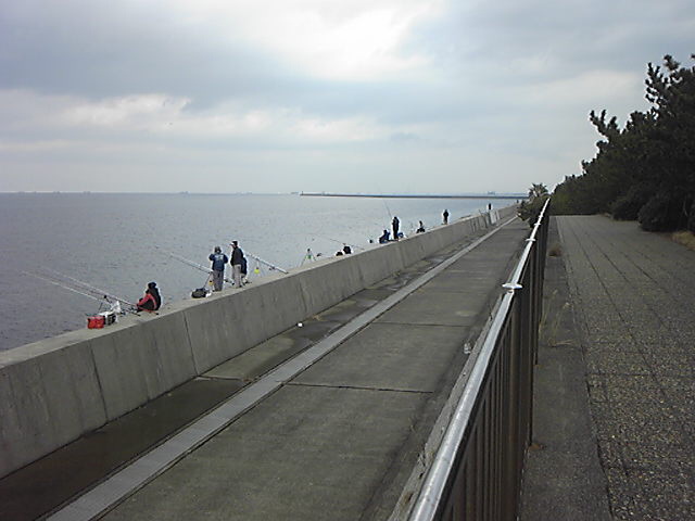 121223_112306.jpg