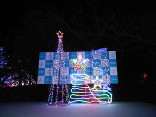 DSCN8667_R.JPG