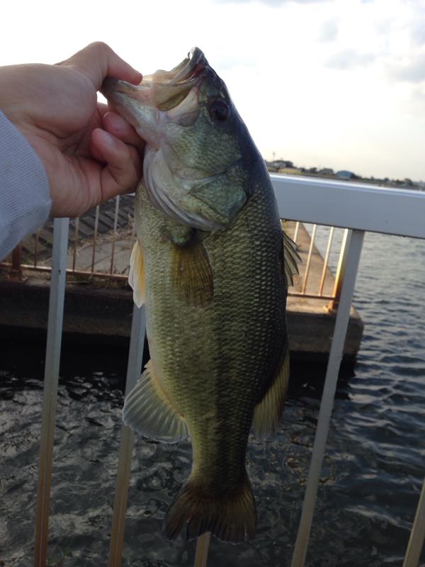 rblog-20141030150751-02.jpg