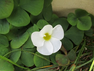 IMG_8949ss.jpg