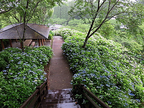 IMG_2216.jpg