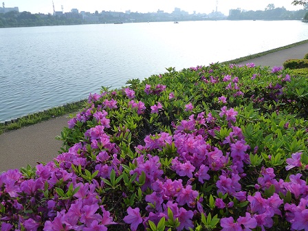 2013.5.18 025.JPG