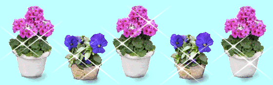 primura-pangy-line[1].gif
