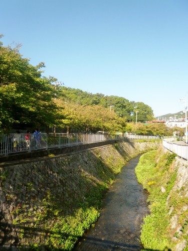 006 (375x500).jpg