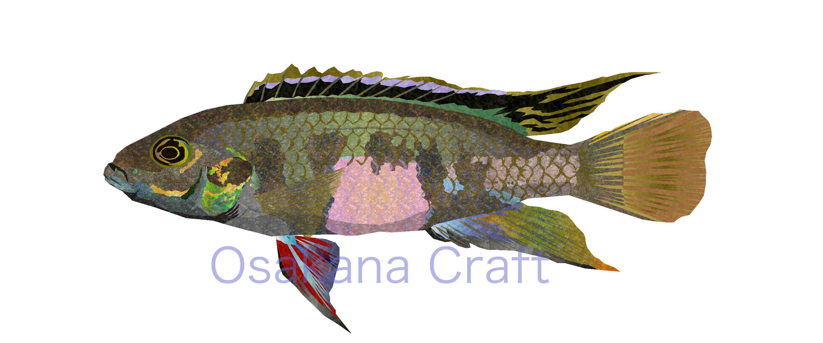 アフリカンシクリッド Cichlid African Osakana Craft イラスト熱帯魚図鑑 楽天ブログ