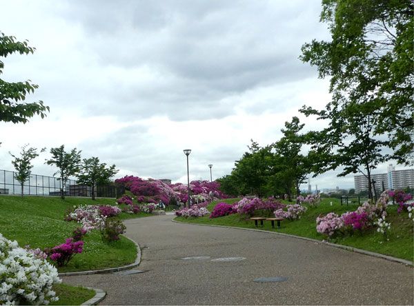 泉南の淡輪遊園 あたご山公園 と ぐる り 京のお散歩 楽天ブログ