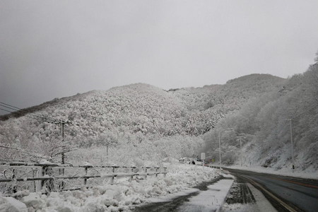 北海道雪景色.jpg