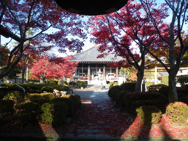 しが湖東c021擽野寺.JPG
