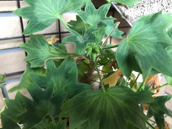 rblog-20181203161408-02.jpg