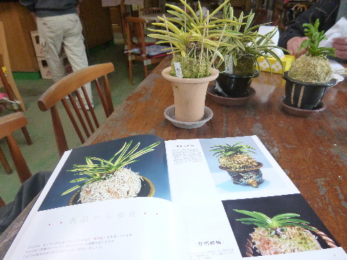 P1140472(1).JPG