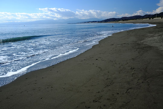 DSCF1429.jpg