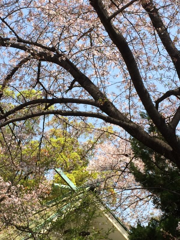 rblog-20140408123102-01.jpg