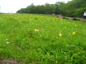 IMG_3974.JPG